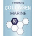 Nordic Collagen - Bovine 60 serveringer